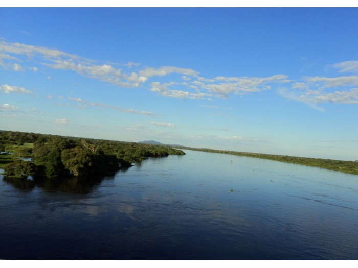 Paisagens e Animais do Pantanal